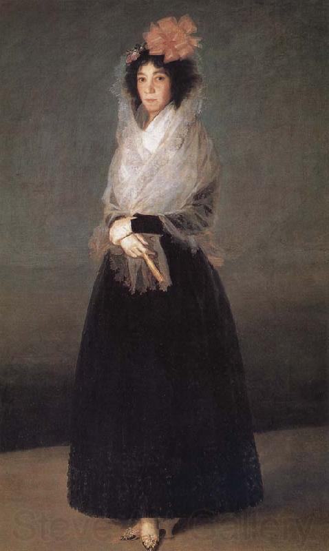 Francisco Goya Marquise of la Solana France oil painting art